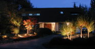 Pic 6